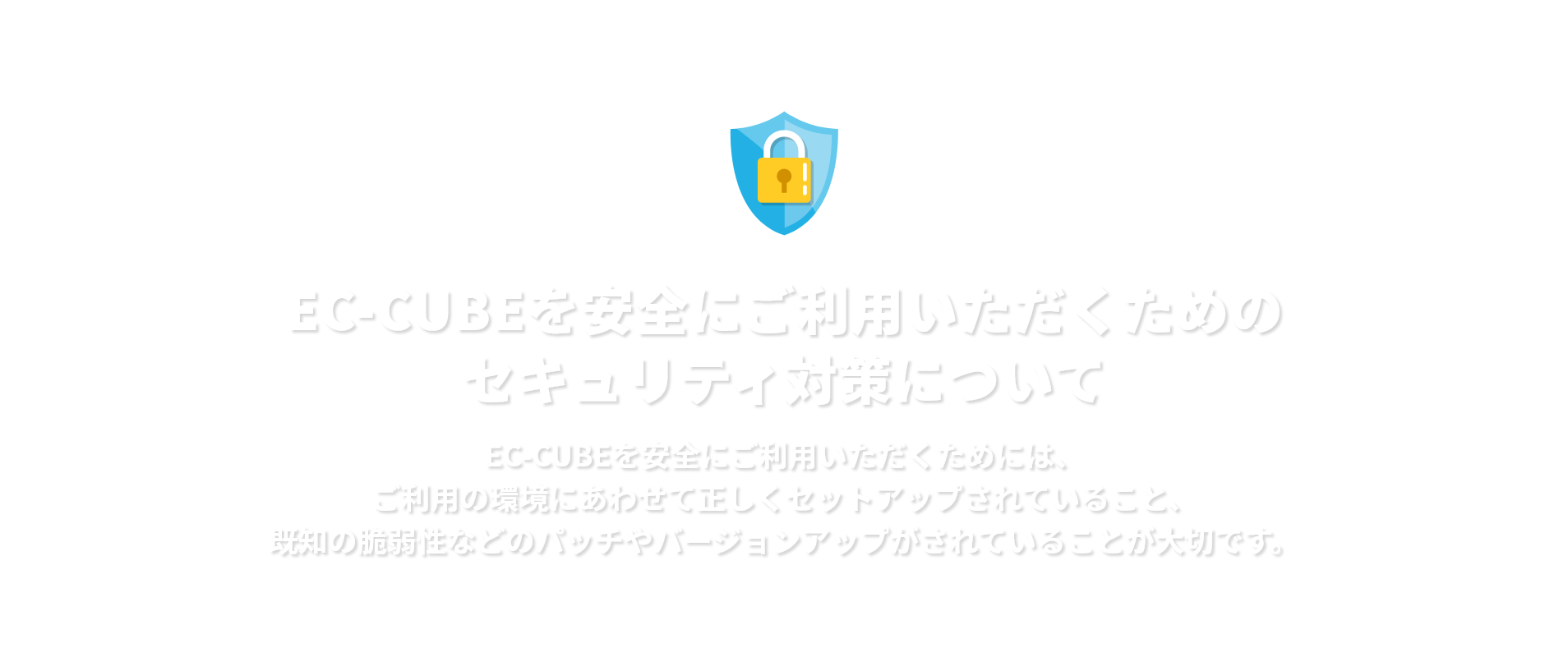 EC-CUBEを安全にご利用いただくためのセキュリティ対策についてEC-CUBEを安全にご利用いただくためには、ご利用の環境にあわせて正しくセットアップされていること、既知の脆弱性などのパッチやバージョンアップがされていることが大切です。